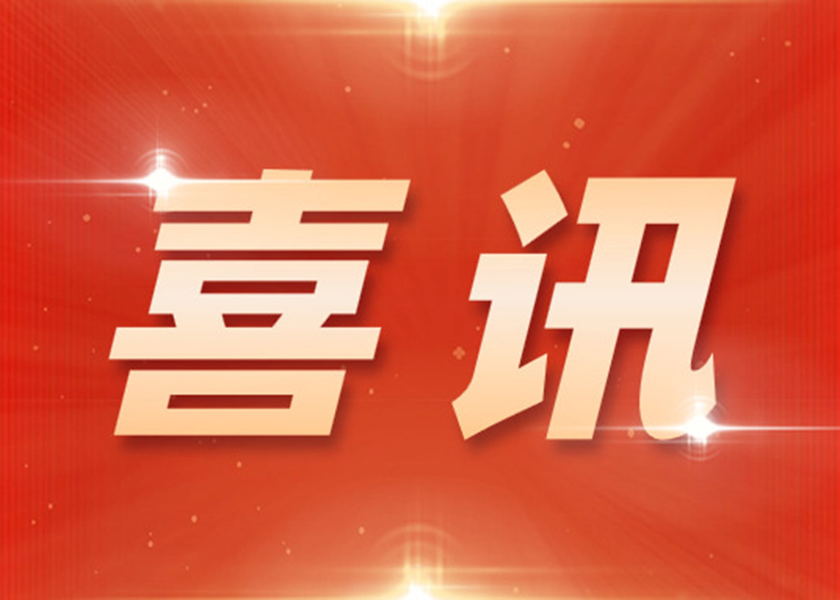 荣誉｜fb体育再度上榜“广东省民营企业100强”